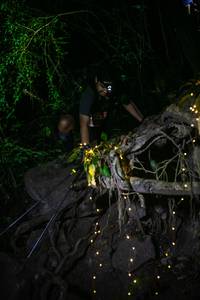 BIB: 
                            <button type="button" onclick="openModal(13635133)" class="btn btn-primary btn-sm float-right btn-popup" data-toggle="modal" data-target=".modal-high-quality">
                        <i class="fas fa-shopping-cart"></i> Add to Cart
                    </button>
                                            <button type="button" onclick="isThisMe(13635133, true)" class="btn btn-success btn-sm float-right btn-popup btn-isme hidden" data-toggle="tooltip" data-placement="bottom" title="นี่คือรูปของคุณใช่ไหม คลิกที่นี่เพื่อเอาเข้าอัลบั้ม">
                        <i class="fas fa-plus"></i> Add to album
                    </button>
                    <button type="button" onclick="isThisMe(13635133, false)" class="btn btn-warning btn-sm float-right btn-popup btn-isnotme hidden">
                        <i class="fas fa-ban"></i> Remove from album
                    </button>